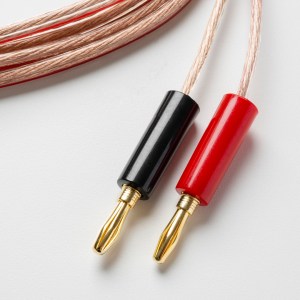 Ls E Flex Detail